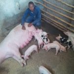 whatsapp image 2026 02 11 at 11.53.00 am