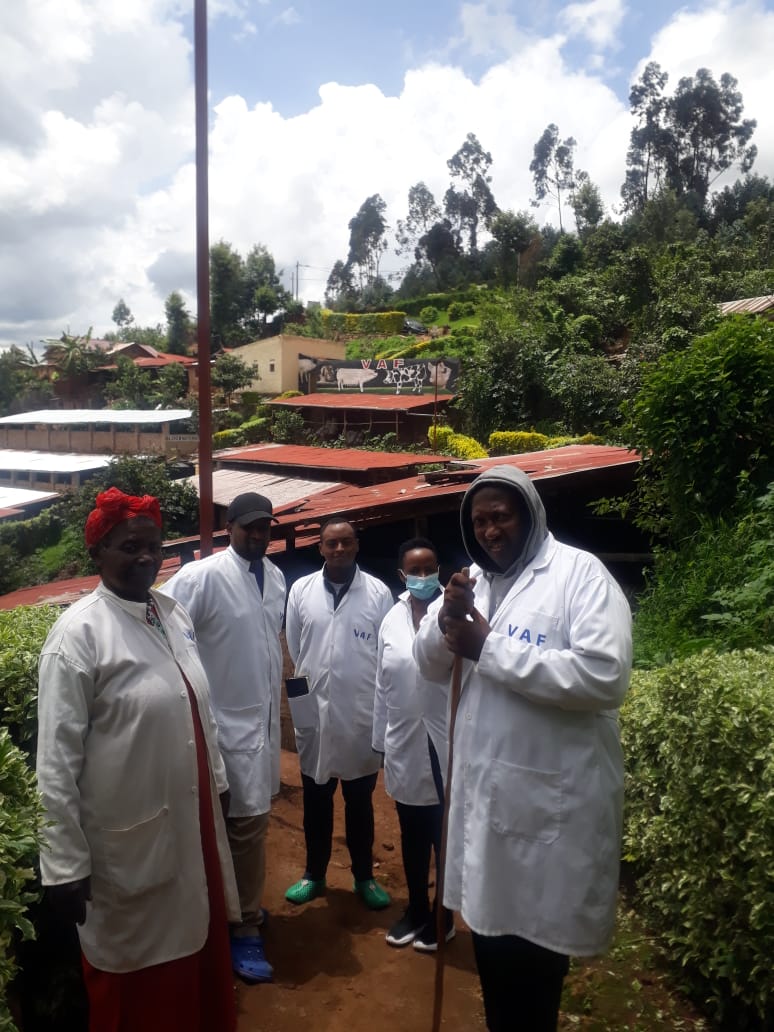 Services whatsapp image 2026 02 11 at 12.31.30 pm