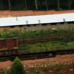 New CAF Farm Svg+xml,%3Csvg%20xmlns%3D%22http%3A%2F%2Fwww.w3