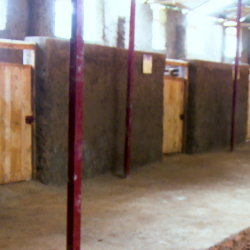 Ibiraro Svg+xml,%3Csvg%20xmlns%3D%22http%3A%2F%2Fwww.w3